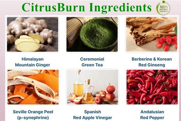 Citrusburn Ingredients