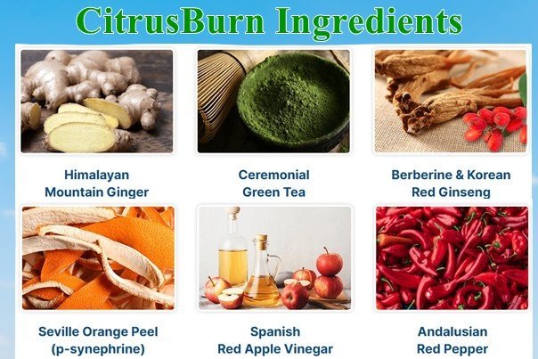 Citrusburn Ingredients